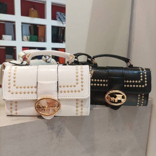 کیف گل‌دوزی شده کوچ