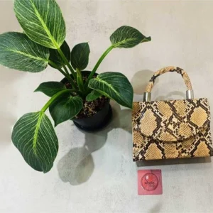 کیف دستی پوست ماری